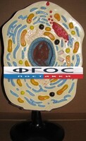 Модель "Клетка животного" - fgospostavki.ru - Южно-Сахалинск