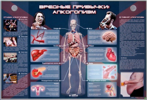 Электрифицированный стенд "Вредные привычки: алкоголизм" - fgospostavki.ru - Южно-Сахалинск