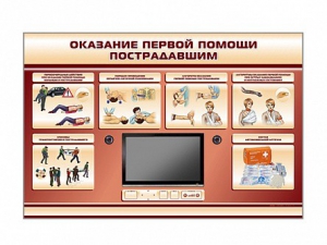 Многофункциональный интерактивный стенд-тренажер "Оказание первой помощи пострадавшим" для учащихся общеобразовательных учреждений - fgospostavki.ru - Южно-Сахалинск
