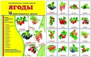 Демонстрационные карточки "Ягоды" - fgospostavki.ru - Южно-Сахалинск