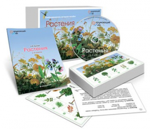 Комбинированное наглядное пособие «Растения» - fgospostavki.ru - Южно-Сахалинск