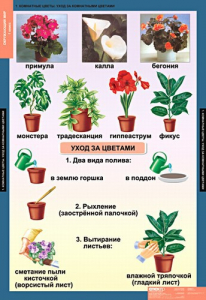 Комплект таблиц. Окружающий мир 1 класс. - fgospostavki.ru - Южно-Сахалинск