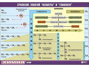 Таблица демонстрационная "Сравнение понятий изомер и гомолог" (винил 70x100) - fgospostavki.ru - Южно-Сахалинск