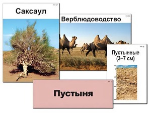 Модель-аппликация "Природные зоны России" (ламинированная) - fgospostavki.ru - Южно-Сахалинск