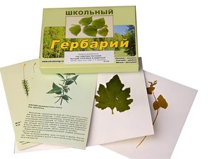 Гербарий "Систематика растений. Высшие споровые и семенные" (раздаточный) - fgospostavki.ru - Южно-Сахалинск