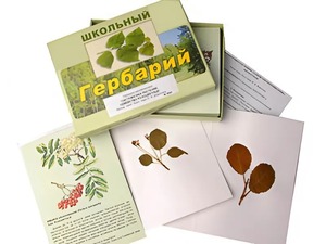 Гербарий "Систематика растений. Семейство Розоцветные" (раздаточный) - fgospostavki.ru - Южно-Сахалинск