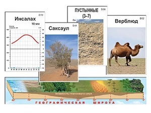 Модель-аппликация "Природные зоны" - fgospostavki.ru - Южно-Сахалинск