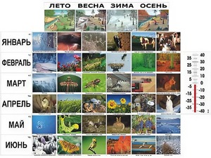 Фенологические наблюдения - fgospostavki.ru - Южно-Сахалинск