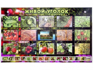 Комплект оборудования "Живой уголок" (растения) с тифлопереводом и сурдокомментариями - fgospostavki.ru - Южно-Сахалинск