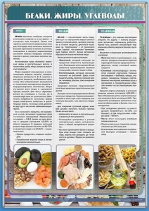Стенд "Белки. Жиры. Углеводы" - fgospostavki.ru - Южно-Сахалинск