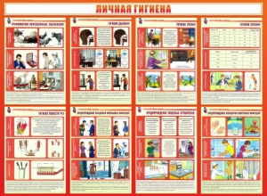 Стенд "Личная гигиена" - fgospostavki.ru - Южно-Сахалинск
