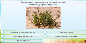Интерактивные курсы. Окружающий мир 3 класс . Базовый. - fgospostavki.ru - Южно-Сахалинск