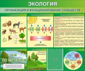 Стенд "Экология. Организация и функционирование сообществ" - fgospostavki.ru - Южно-Сахалинск