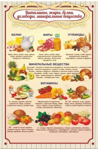 Стенд "Витамины, жиры, белки" - fgospostavki.ru - Южно-Сахалинск