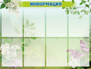 Стенд "Информация" Вариант 13 - fgospostavki.ru - Южно-Сахалинск