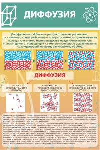 Стенд "Диффузия" - fgospostavki.ru - Южно-Сахалинск
