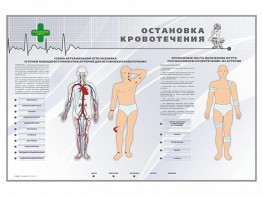 Электрифицированный стенд "Остановка кровотечения" - fgospostavki.ru - Южно-Сахалинск