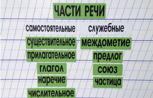Набор магнитных карточек "Части речи" (фон зелёный) - fgospostavki.ru - Южно-Сахалинск