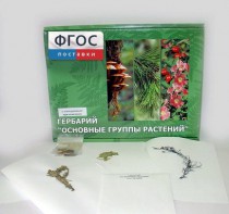 Гербарий "Основные группы растений" (52 листа) - fgospostavki.ru - Южно-Сахалинск