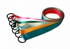 Лента гимнастическая на кольце (0,25 метра) - fgospostavki.ru - Южно-Сахалинск