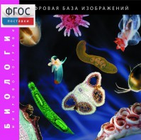 Биология. Микрофотографии. (Цифровая база изображений) - fgospostavki.ru - Южно-Сахалинск