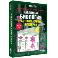 Наглядная биология. 6 класс. Растения. Грибы. Бактерии - fgospostavki.ru - Южно-Сахалинск