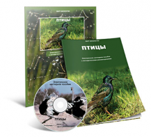 Электронное наглядное пособие «Птицы» - fgospostavki.ru - Южно-Сахалинск