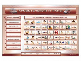 Трехсекционный базовый комплект "Травмы. Кровотечения. Ожоги" для учащихся общеобразовательных учреждений - fgospostavki.ru - Южно-Сахалинск