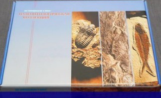 Коллекция "Палеонтологическая" (16 образцов) - fgospostavki.ru - Южно-Сахалинск