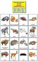 Раздаточные карточки "Дикие животные (1)" - fgospostavki.ru - Южно-Сахалинск