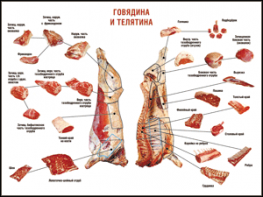 Таблица "Правила разделки мясных туш. Говядина и телятина" (100х140 сантиметров, винил) - fgospostavki.ru - Южно-Сахалинск