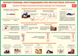 Таблица "Общий порядок оказания первой помощи пострадавшим" (100х140 сантиметров, винил) - fgospostavki.ru - Южно-Сахалинск