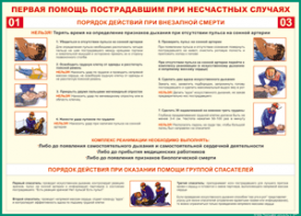 Таблица "Порядок действий при внезапной смерти" (100х140 сантиметров, винил) - fgospostavki.ru - Южно-Сахалинск