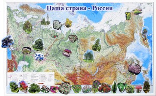 Магнитные карточки "Растения" - fgospostavki.ru - Южно-Сахалинск