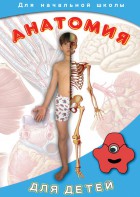 DVD "Анатомия для детей" - fgospostavki.ru - Южно-Сахалинск