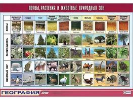 Таблица демонстрационная "Почвы, растения и животные природных зон" (винил 70*100) - fgospostavki.ru - Южно-Сахалинск