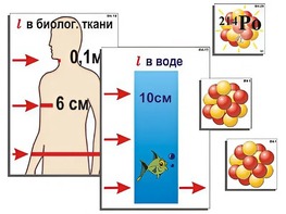 Модель-аппликация "Явление радиоактивности" (ламинированная) - fgospostavki.ru - Южно-Сахалинск
