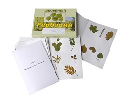 Гербарий "Морфология растений" (6 тем, 30 видов) - fgospostavki.ru - Южно-Сахалинск
