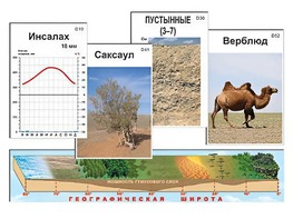 Модель-аппликация "Природные зоны" - fgospostavki.ru - Южно-Сахалинск