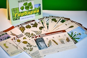Гербарий к курсу основ общей биологии - fgospostavki.ru - Южно-Сахалинск