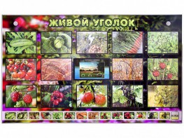 Комплект оборудования "Живой уголок" (растения) с тифлопереводом и сурдокомментариями - fgospostavki.ru - Южно-Сахалинск