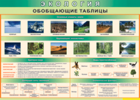 Таблица "Экология. Обобщающие таблицы" (100х140 сантиметров, винил) - fgospostavki.ru - Южно-Сахалинск