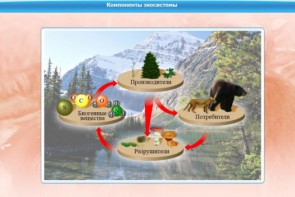 Интерактивные курсы. Биология 7 класс. Базовый. - fgospostavki.ru - Южно-Сахалинск