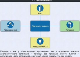 Интерактивные курсы. Биология 5 класс. Базовый - fgospostavki.ru - Южно-Сахалинск