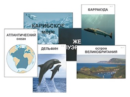 Модель-аппликация "Океаны. Знакомство" (ламинированная) - fgospostavki.ru - Южно-Сахалинск