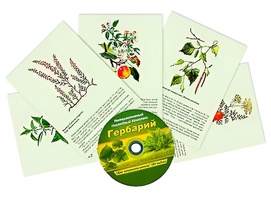Интерактивный наглядный комплекс "Гербарий "Для начальной школы" - fgospostavki.ru - Южно-Сахалинск