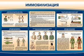 Стенд "Иммобилизация" - fgospostavki.ru - Южно-Сахалинск