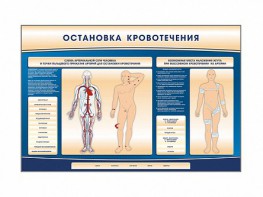 Электрифицированный стенд-тренажер "Остановка кровотечения" - fgospostavki.ru - Южно-Сахалинск