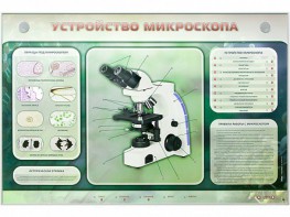 Электрифицированный стенд "Устройство микроскопа и правила работы c ним" - fgospostavki.ru - Южно-Сахалинск