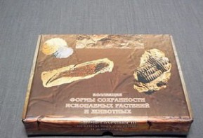 Коллекция "Формы сохранности ископаемых растений и животных" - fgospostavki.ru - Южно-Сахалинск